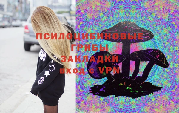 дурь Волоколамск