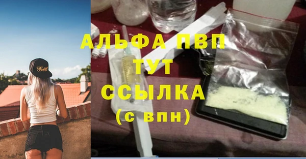 ПСИЛОЦИБИНОВЫЕ ГРИБЫ Вязьма